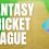 The main points about cricket fantasy league